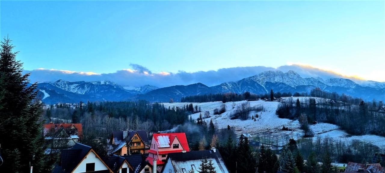 Domek Jelonek Bachledzki Wierch Zakopane Eksteriør bilde